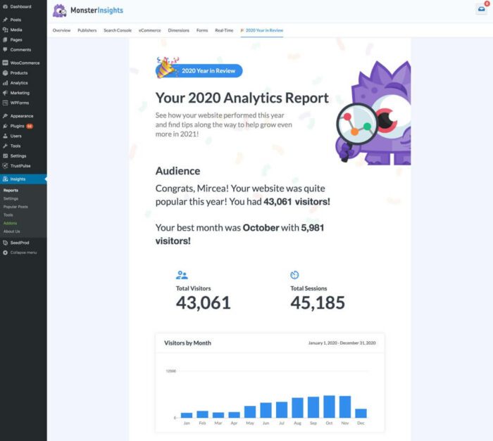 MonsterInsights Year Review Report