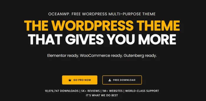 Fastest WordPress Themes - OceanWP